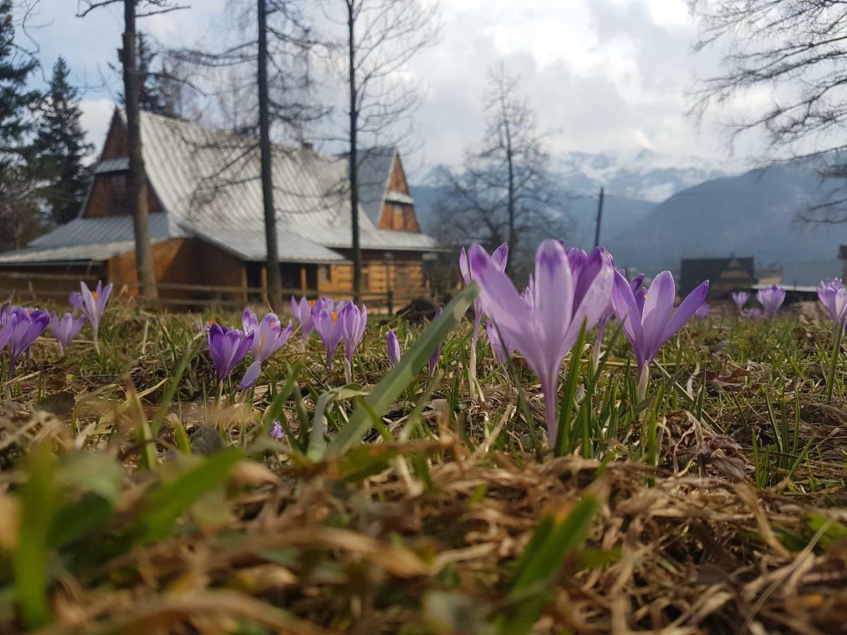 Apartament Sielanka, Basen Kościelisko Exteriér fotografie